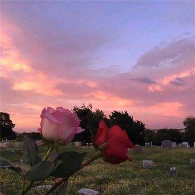 beat365官方最新版