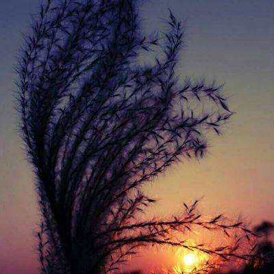 m6米乐官方入口app下载苹果截图